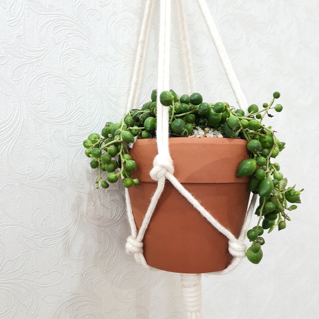 Macrame Treo Chậu Cây Fairy Tail Pot Hanger - Ảnh 3